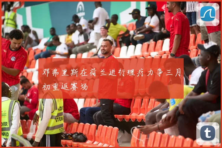 邓弗里斯在荷兰进行理疗力争三月初重返赛场