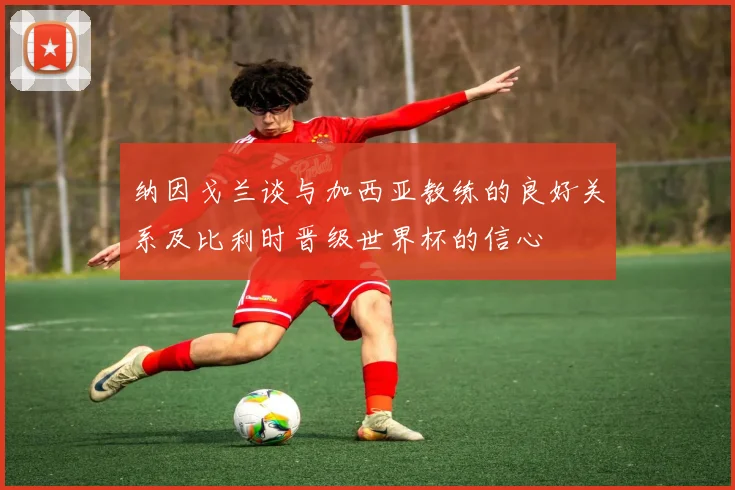 纳因戈兰谈与加西亚教练的良好关系及比利时晋级世界杯的信心