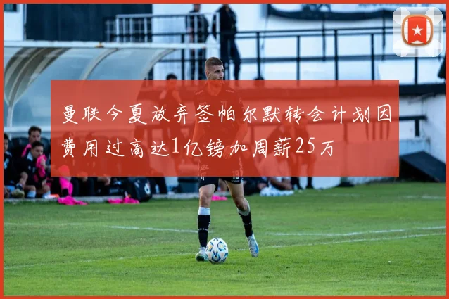 曼联今夏放弃签帕尔默转会计划因费用过高达1亿镑加周薪25万