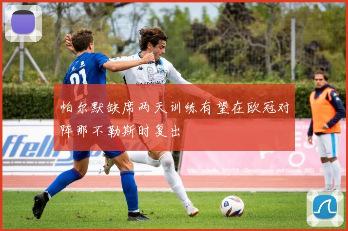帕尔默缺席两天训练有望在欧冠对阵那不勒斯时复出