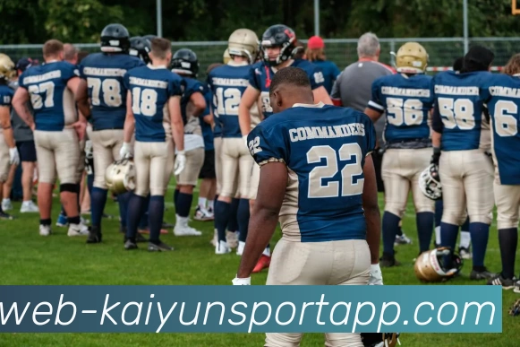 开云体育服务体系